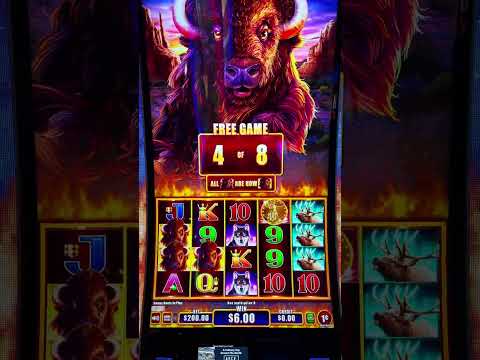 pinco casino online