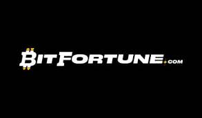 Max Cashout Stories Triumphs and Journeys from Bitfortune
