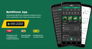 BetWinner App for iOS A Comprehensive Guide 477653207